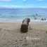  Grundstück zu verkaufen in Samboan, Central Visayas, Samboan, Cebu, Central Visayas