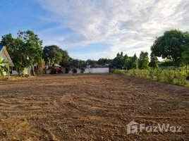 ขายที่ดิน ใน ราไวย์, ภูเก็ต, ราไวย์, เมืองภูเก็ต, ภูเก็ต