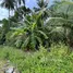  Land for sale in Bo Phut, Surat Thani, Bo Phut, Koh Samui