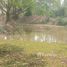  Земельный участок for sale in Nong Lom, Lampang, Nong Lom, Hang Chat, Lampang