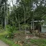  Land for sale in Tha Pradu, Songkhla, Tha Pradu, Na Thawi, Songkhla