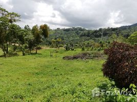 在哥斯达黎加出售的 土地, Perez Zeledon, San Jose, 哥斯达黎加