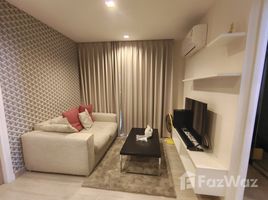 คอนโด 2 ห้องนอน ให้เช่า ในโครงการ ดิอามองต์, ฟ้าฮ่าม, เมืองเชียงใหม่, เชียงใหม่