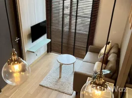 1 Bedroom Condo for rent at The Lumpini 24, Khlong Tan, Khlong Toei, Bangkok