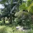  Land for sale in Taling Chan, Krabi, Taling Chan