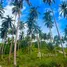  Land for sale in Taling Ngam, Surat Thani, Taling Ngam, Koh Samui