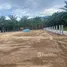  Land for sale in Khanom, Nakhon Si Thammarat, Khanom