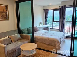 1 Habitación Apartamento en alquiler en The Origin Kathu-Patong, Kathu, Kathu, Phuket, Tailandia