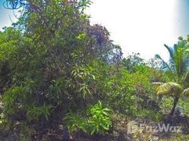 N/A Terreno (Parcela) en venta en , Islas De La Bahia Nestled into Utila's greenery, Utila, Islas de la Bahia