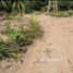  Land for sale in Maenam, Koh Samui, Maenam