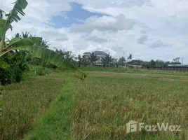 在里岛出售的 土地, Canggu, Badung, 里岛