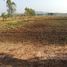  Земельный участок for sale in Khao Sai, Phichit, Khao Sai, Tap Khlo, Phichit
