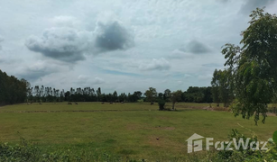N/A Land for sale in Nong Saeng, Chai Nat 