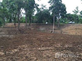  Land for sale in Chiang Mai, Nam Phrae, Hang Dong, Chiang Mai