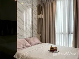 1 Bedroom Condo for rent at Oka Haus, Khlong Tan, Khlong Toei, Bangkok, Thailand