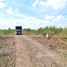  Земельный участок for sale in Na Mai, Патумтани, Na Mai, Lat Lum Kaeo