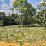  Terrain for sale in Amazonas, Presidente Figueiredo, Amazonas