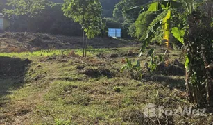 N/A Land for sale in Kamala, Phuket 