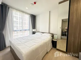 อพาร์ทเม้นท์ 1 ห้องนอน ให้เช่า ในโครงการ โนเบิล นิว ครอส คูคต , คูคต, ลำลูกกา, ปทุมธานี