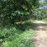  Land for sale in Hojancha, Guanacaste, Hojancha