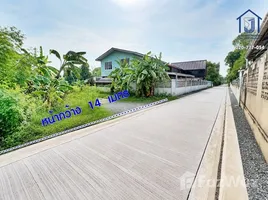 ขายที่ดิน ใน บางพูน, ปทุมธานี, บางพูน, เมืองปทุมธานี, ปทุมธานี, ไทย