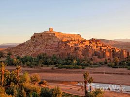  토지을(를) 모로코에서 판매합니다., Ouarzazate, Ouarzazate, Souss Massa Draa, 모로코