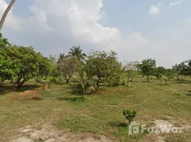 在Ban Bueng, 春武里出售的 土地, Ban Bueng, Ban Bueng
