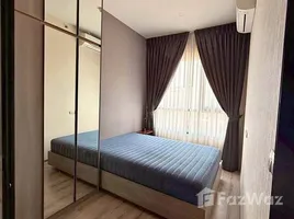 คอนโด 1 ห้องนอน ให้เช่า ในโครงการ ไนท์บริดจ์ ไพร์ม อ่อนนุช, พระโขนงเหนือ