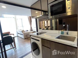 อพาร์ทเม้นท์ 1 ห้องนอน ให้เช่า ในโครงการ พาร์ค ออริจิ้น ทองหล่อ, คลองตันเหนือ