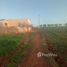  Land for sale in Khemisset, Rabat Sale Zemmour Zaer, Tiflet, Khemisset