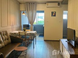 คอนโด 1 ห้องนอน ให้เช่า ในโครงการ อาเซี่ยน ซิตี้ รีสอร์ท, เทศบาลนครหาดใหญ่, หาดใหญ่, สงขลา, ไทย