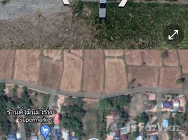  Land for sale in Thailand, Rattanaburi, Rattanaburi, Surin, Thailand