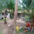 4 Schlafzimmer Haus zu verkaufen in Cagayan de Oro City, Northern Mindanao, Cagayan de Oro City