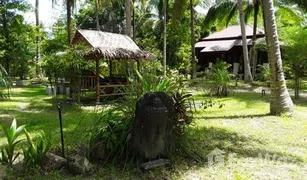 6 Schlafzimmern Villa zu verkaufen in Ko Pha-Ngan, Koh Samui 