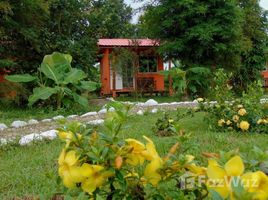 N/A Land for sale in Thung Chang, Nan 11 Rai Land With A House & 7 Bungalows