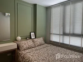 คอนโด 1 ห้องนอน ให้เช่า ในโครงการ นิว โนเบิล ศรีนครินทร์ – ลาซาล, สำโรงเหนือ, เมืองสมุทรปราการ