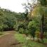  Land for sale in Nicoya, Guanacaste, Nicoya