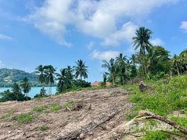 ขายที่ดิน ใน ตลิ่งงาม, สุราษฎร์ธานี, ตลิ่งงาม, เกาะสมุย, สุราษฎร์ธานี