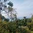  Land for sale in Ko Pha-Ngan, Surat Thani, Ko Pha-Ngan, Ko Pha-Ngan