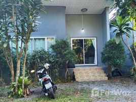 1 Schlafzimmer Haus zu vermieten in Krabi, Nong Thale, Mueang Krabi, Krabi