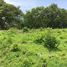  Land for sale in Guanacaste, Hojancha, Guanacaste