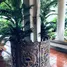 4 Bedroom House for rent in Bang Chak, Bangkok, Bang Chak, Phra Khanong, Bangkok, Thailand