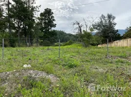  Grundstück zu verkaufen in Boquete, Chiriqui, Palmira, Boquete, Chiriqui