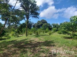  Terrain for sale in Amazonas, Rio Preto Da Eva, Rio Preto Da Eva, Amazonas