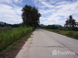  Land for sale in Nong Phlap, Hua Hin, Nong Phlap, Hua Hin, Prachuap Khiri Khan