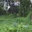  Land for sale in Nong Faek, Chiang Mai, Nong Faek