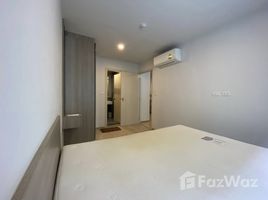 2 Bedroom Condo for rent at Elio Del Moss, Sena Nikhom, Chatuchak, Bangkok, Thailand