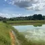  Terreno (Parcela) en venta en Rio Preto Da Eva, Amazonas, Rio Preto Da Eva