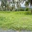  Земельный участок for sale in Pa Khlok, Пхукет, Pa Khlok, Тхаланг