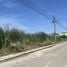  Land for sale in Lam Luk Ka Pathum Thani, Khu Khot, Lam Luk Ka, Pathum Thani